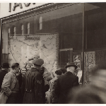 Cover image for Photograph - window displays from the Tasmanian Agent Generals Office London