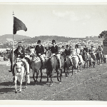 Cover image for Photograph - Equestrian events, Royal Hobart Show