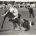 Cover image for Photograph - Hobart Rodeo