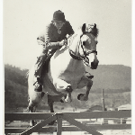 Cover image for Photograph - June Richards - riding her horse 'Shadow' at Junior Pony Jump at Royal Hobart Show