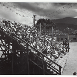 Cover image for Photograph - Spectators, open stand at TCA Ground, Hobart Domain