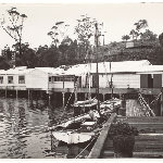 Cover image for Photograph - Government Cool Store and Fish Processing Factory, Triabunna