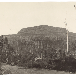 Cover image for Photograph - Projection Bluff from Deloraine Great Lake Road