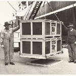 Cover image for Photograph - Inspecting apples for export and loading at wharves