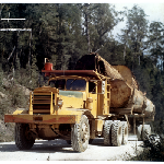 Cover image for Photograph - Log hauling
