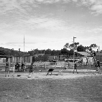 Cover image for Photograph - St. Helen's Area School, children at play