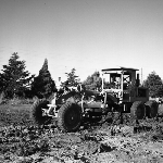 Cover image for Photograph - Glenorchy State School, scraper, earthmoving equipment