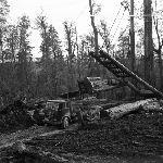 Cover image for Photograph - Maydena, logging operations