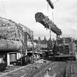 Cover image for Photograph - Maydena, logging operations, loading train carriages