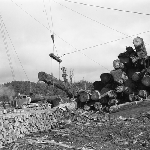 Cover image for Photograph - Maydena, logging operations, loading logging truck