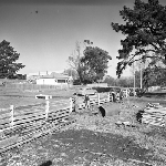 Cover image for Photograph - G.V. Brooks Community School, students constructing fence