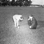 Cover image for Photograph - G.V. Brooks Community School, inspecting the grass