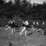 Cover image for Photograph - "Wirksworth" Camp, Bellerive, Physical Education Instructors Camp, dance