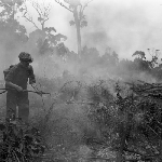 Cover image for Photograph - Boy spraying burning branches