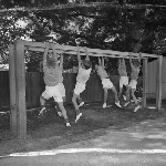 Cover image for Photograph - Kingston School, boys climbing on a horizontal ladder