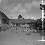 Cover image for Photograph - Kingston School, students setting up a net to play volleyball
