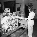 Cover image for Photograph - Duck River Butter Factory, Smithton, packing butter into cases ready for despatch