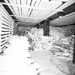 Cover image for Photograph - Bacon Factory and Freezing Works, Smithton, carcasses in freezing chambers