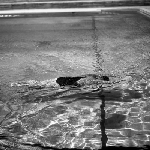 Cover image for Photograph - Amateur House swimming pool, swimming instruction