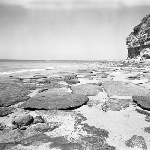 Cover image for Photograph - Fossil Bluff, Wynyard