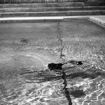 Cover image for Photograph - Amateur House swimming pool, swimming instruction
