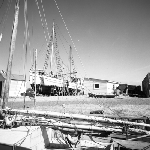 Cover image for Photograph - Stanley, fishing boats