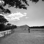 Cover image for Photograph - Wynyard, Golf course