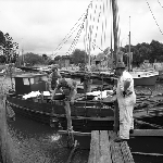 Cover image for Photograph - Stanley, boats at dock
