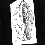 Cover image for Photograph - "Aboriginal implements", drawing (copy)