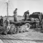Cover image for Photograph - Triabunna Wharf, loading bags of crayfish