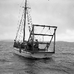 Cover image for Photograph - Scallop Industry, scallop fishing boat
