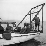 Cover image for Photograph - Scallop Industry, scallop workers on boat