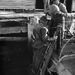 Cover image for Photograph - Scallop Industry, placing helmet on scallop diver