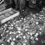 Cover image for Photograph - Scallop Industry, scallop shells