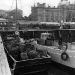 Cover image for Photograph - Hobart wharves, fishing boats in port