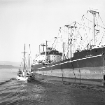Cover image for Photograph - Hobart Wharves, fishing boat leaving port, cargo ship docked