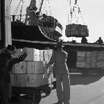 Cover image for Photograph - Hobart Wharves, loading cases of apples