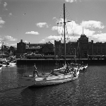 Cover image for Photograph - Fishing boats, Victoria Dock, Hobart