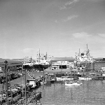 Cover image for Photograph - Port of Hobart