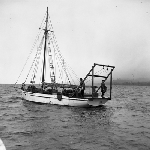 Cover image for Photograph - Scallop Industry, fishing boat