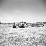 Cover image for Photograph - Hagley Farm Area School, raking hay - 2 photographs