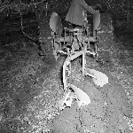 Cover image for Photograph - Turning soil with a farm machine