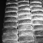 Cover image for Photograph - W. Cripps Bakery, loaves of bread