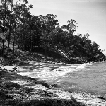 Cover image for Photograph - Rocky foreshore