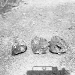 Cover image for Photograph - Rock samples showing freshly fractured boulder of dolerite