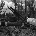 Cover image for Photograph - Florentine Valley, lumbering, loading with heel boom loader and logging arch