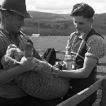 Cover image for Photograph - Junior Farmers, injecting lamb