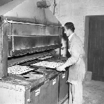 Cover image for Photograph - Haywoods Biscuit Factory, placing trays of Snax in oven