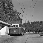 Cover image for Photograph - Hobart, Trolley Bus, back view
