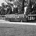 Cover image for Photograph - Hobart, Trolley Bus, side view